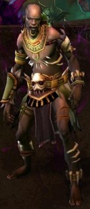 Diablo3 Witchdoctor witchdoctor